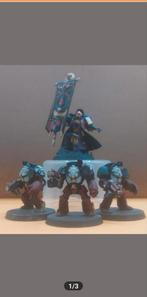 Warhammer 40K Assault Terminators, Hobby en Vrije tijd, Wargaming, Gebruikt, Figuurtje(s), Ophalen of Verzenden, Warhammer 40000