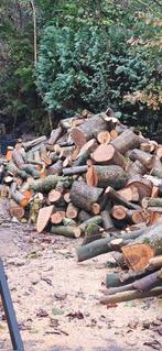 Haardhout te koop - Brandbaar volgend seizoen!, Tuin en Terras, Haardhout, Minder dan 3 m³, Ophalen of Verzenden, Overige houtsoorten