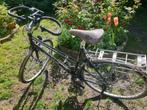 Koga Miyata Randonneur lady, 54 cm framemaat, Fietsen en Brommers, Fietsen | Dames | Sportfietsen en Toerfietsen, Meer dan 20 versnellingen