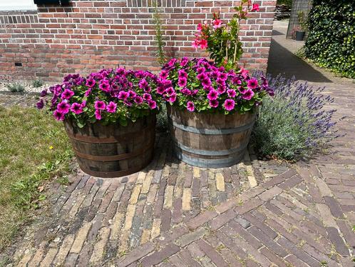 Bloembak half wijnvat houten waterbak palmboom vijgenboom, Tuin en Terras, Bloembakken en Plantenbakken, Nieuw, Hout, Rond, Ophalen of Verzenden