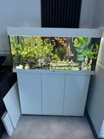 Juwel Rio Led 180 wit compleet met kast (glas krasvrij), Dieren en Toebehoren, Vissen | Aquaria en Toebehoren, Ophalen, Zo goed als nieuw