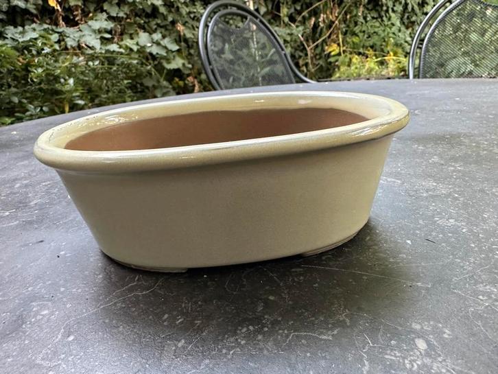 Ovale witte keramieke bonsaipot, Tuin en Terras, Bloempotten, Nieuw, Aardewerk, Binnen, Balkon, Tuin, Minder dan 40 cm, Minder dan 25 cm