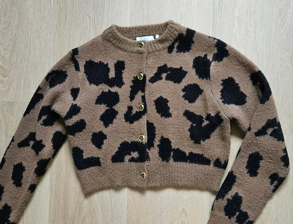 Panterprint vest! 😻, Kinderen en Baby's, Ophalen of Verzenden, Nieuw, Meisje, Trui of Vest