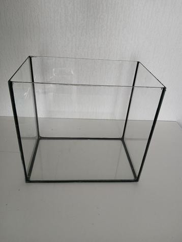 Aquarium bak 35x33x23 beschikbaar voor biedingen
