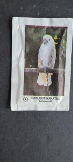 GEELKUIF KAKATOE  ( nummer 2 ) INDONESIË, Verzenden, Nederland