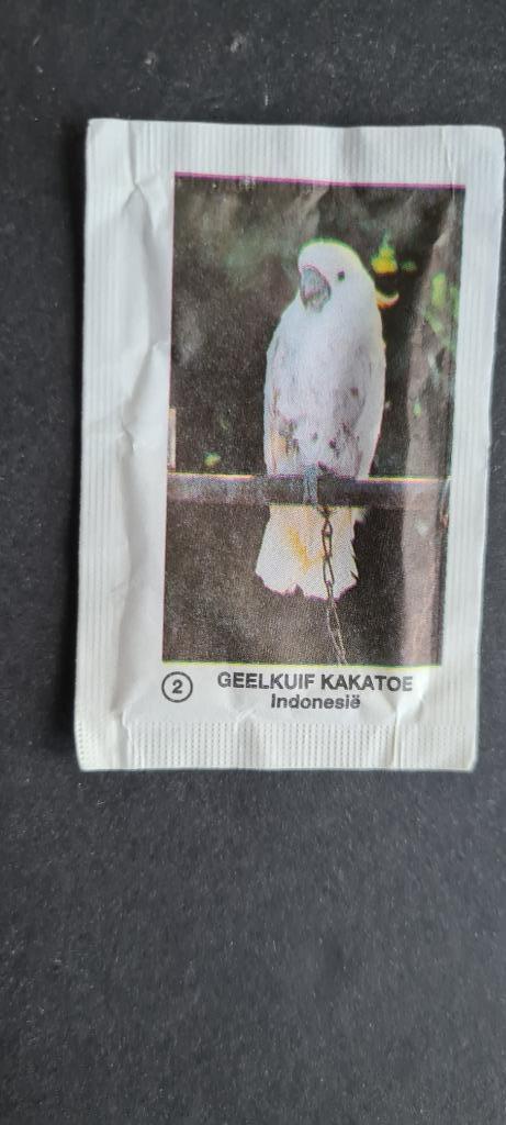 GEELKUIF KAKATOE  ( nummer 2 ) INDONESIË, Verzamelen, Suikerzakjes, Nederland, Verzenden