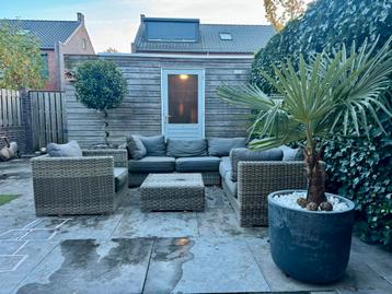 ROTAN LOUNGESET TUINSET HOEKBANK MET KUSSENS - STOEL - TAFEL beschikbaar voor biedingen