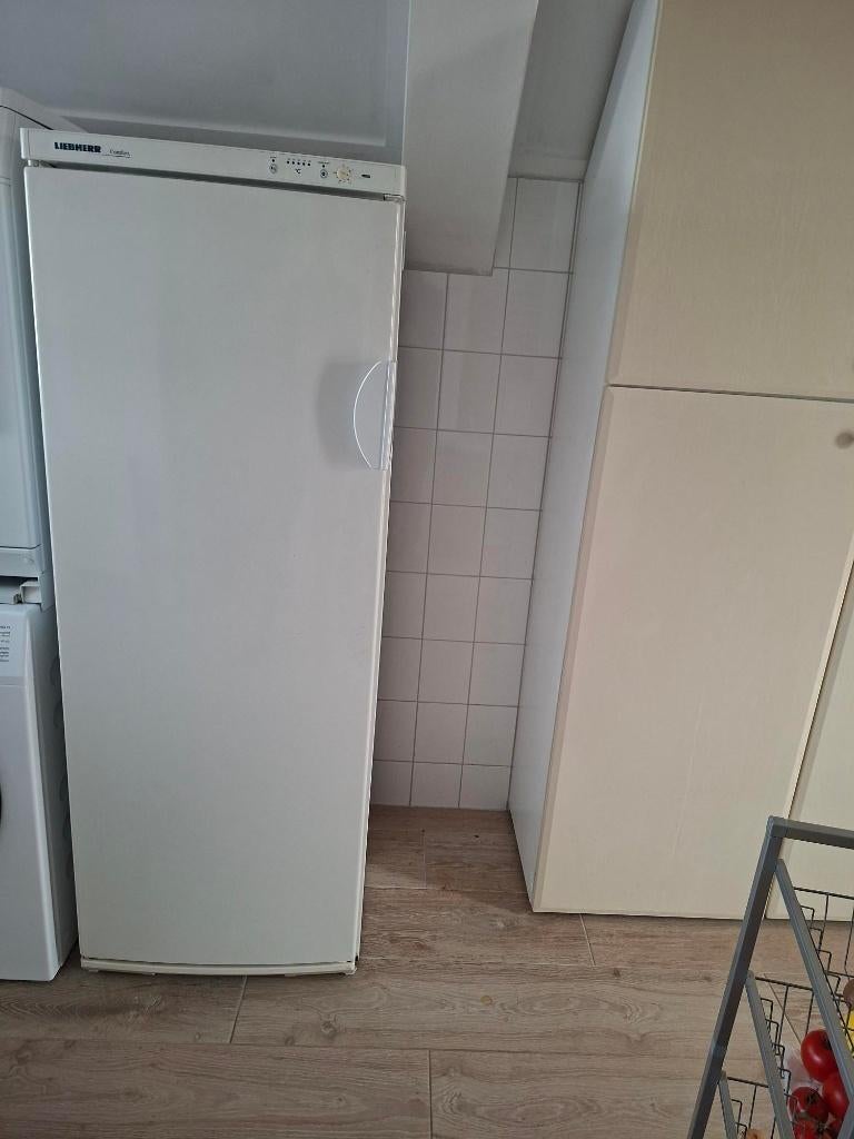 Diepvrieskast met 7 laden, Gebruikt, 160 cm of meer, Ophalen, Vrieskast