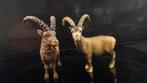 Schleich Wildlife: Schleich Steenbokken, Verzamelen, Dierenverzamelingen, Ophalen of Verzenden, Zo goed als nieuw, Paard, Beeldje of Figuurtje