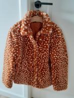 ¨BAMBI¨ winterjas jas meisje mt 146 - 152     ***TOPPER ***, Ophalen of Verzenden, Zo goed als nieuw, Meisje, Jas