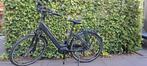 Electrische fiets:  Trenergy performance n8, Ophalen, Zo goed als nieuw, Trenergy