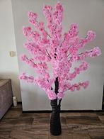 bloesemboom en pampasgras boompjes, Huis en Inrichting, Kamerplanten, Ophalen, Halfschaduw, 150 tot 200 cm