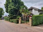 Verkoop rietgedekte Villa te Blaricum tegen WOZ-waarde, 200 tot 500 m², Blaricum, Twee onder één kap, Noord-Holland