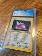 Ditto 1995 Holo - Universal Grade 8.5, Ophalen of Verzenden, Zo goed als nieuw, Losse kaart, Foil