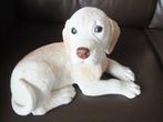beeld,Labrador ,Golden Retriever, Ophalen of Verzenden, Zo goed als nieuw, Hond of Kat, Beeldje of Figuurtje