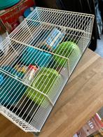 Hamsterkooi + toebehoren, Minder dan 60 cm, Kooi, Minder dan 75 cm, Ophalen of Verzenden