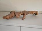 Kienhout, hardscape, Dieren en Toebehoren, Vissen | Aquaria en Toebehoren, Ophalen, Zo goed als nieuw, Plant(en), Steen of Hout
