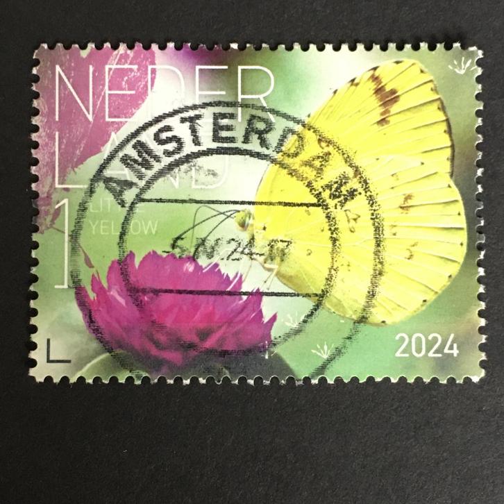 2085 Nederland 2024 Vlinders Bonaire - Yellow - gestempeld, Postzegels en Munten, Postzegels | Nederland, Gestempeld, Na 1940