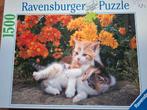 Legpuzzel - Kittens - 1500 stukjes - Ravensburger, Ophalen, 500 t/m 1500 stukjes, Zo goed als nieuw, Legpuzzel