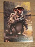 CAMERA 3, Ophalen, Paard