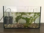 Aquarium en toebehoren, Dieren en Toebehoren, Vissen | Aquaria en Toebehoren, Ophalen of Verzenden, Gebruikt, Leeg aquarium
