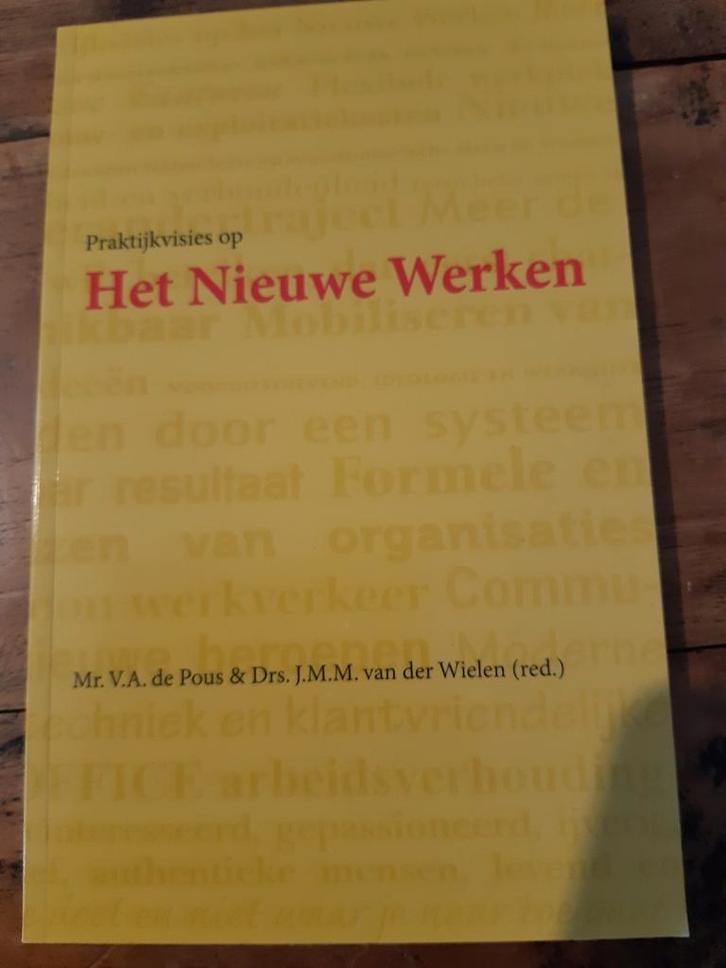 Praktijkvisies op het Nieuwe Werken, Boeken, Economie, Management en Marketing, Zo goed als nieuw, Management, Ophalen of Verzenden