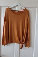 Vlotte camel kleurige top merk Anna maat XL, Overige kleuren, Anna, Maat 46/48 (XL) of groter, Ophalen of Verzenden