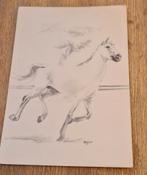 Galloperend paard - Bojan, Verzenden, Ongelopen