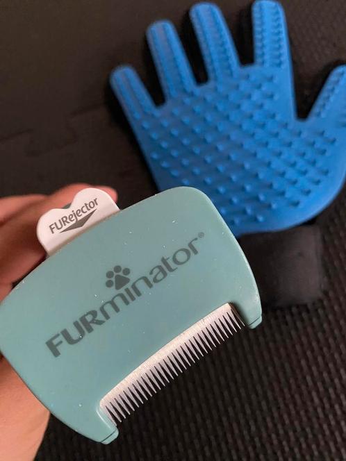 Furminator Kattentondeuse + Gratis Verzorgingshandschoen, Dieren en Toebehoren, Paarden en Pony's | Verzorgingsproducten, Zo goed als nieuw