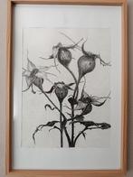 Potlood tekeningen, Ophalen of Verzenden