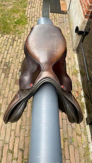 Albion rijzadel beschikbaar voor biedingen