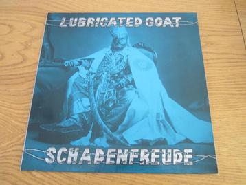 Diverse Pop Rock Alternative Rock LP's in uitstekende staat! beschikbaar voor biedingen