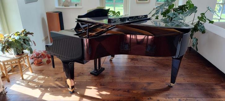 C. Bechstein vleugel, model M, 1977/78, Muziek en Instrumenten, Piano's, Vleugel, Zwart, Ophalen
