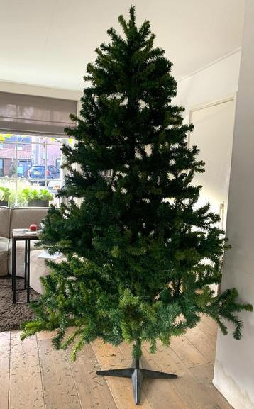 Grote kerstboom denneboom 2.30 Cm hoog. beschikbaar voor biedingen