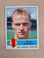 Panini Voetbal 87 Peter Brouwer Go Ahead Eagles, Verzamelen, Ophalen of Verzenden, Zo goed als nieuw, Overige binnenlandse clubs