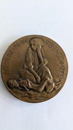 Nederlandsche Nansen-Comite, 1923, Ophalen of Verzenden, Brons, Nederland
