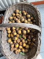 Mispers, Ophalen, Minder dan 100 cm, Overige soorten