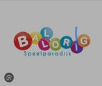 3 entree tickets Ballorig speelparadijs, Drie personen of meer, Ticket of Toegangskaart