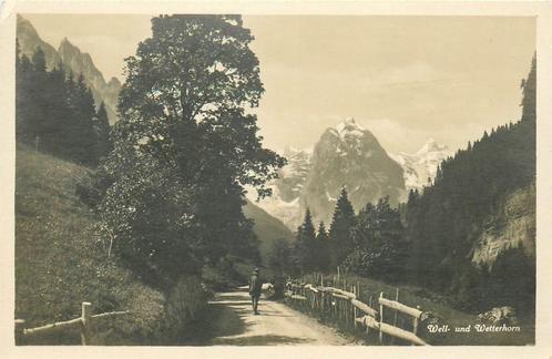 (701-499-023) Well Wetterhorn, Verzamelen, Ansichtkaarten | Buitenland, Overig Europa, Verzenden