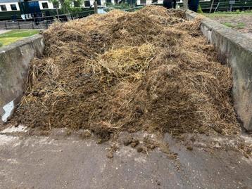 GRATIS paarden poep  beschikbaar voor biedingen