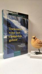 McGrath, Alister; Toekomst voor het christelijk geloof, Boeken, Ophalen of Verzenden, Gelezen, Christendom | Protestants