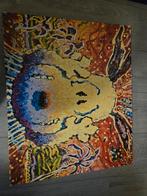 Canvas 50cm x 60cm, Ophalen