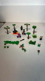 Batman lego bomen en plantjes, Kinderen en Baby's, Speelgoed | Duplo en Lego, Ophalen of Verzenden, Zo goed als nieuw