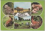 Dedemsvaart  6 luik Uil Paard Schapen Koeien1983 Ongelopen, Verzenden, 1980 tot heden, Ongelopen, Overijssel