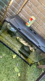 aquaria, Dieren en Toebehoren, Vissen | Aquaria en Toebehoren, Ophalen of Verzenden, Zo goed als nieuw, Leeg aquarium