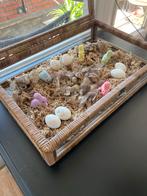 Rattan Box Riviera Maison - Groot, Huis en Inrichting, Ophalen, Zo goed als nieuw