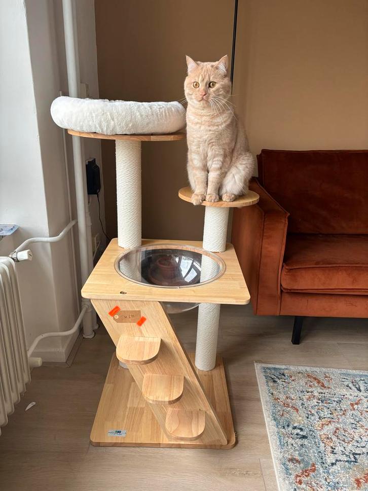 Krabpaal / speeltoestel, Dieren en Toebehoren, Kattenspeelgoed, Zo goed als nieuw, Overig speelgoed, Ophalen of Verzenden