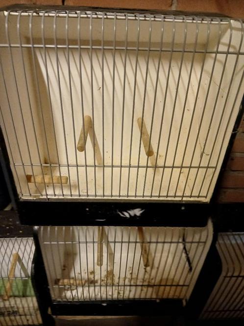 tt kooien, Dieren en Toebehoren, Vogels | Hokken en Kooien, Gebruikt, Ophalen