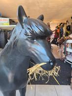 Levensgrote paarden en paardenbeen, Ophalen