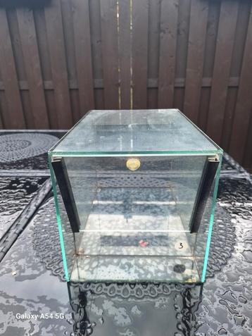 3x terrarium  beschikbaar voor biedingen